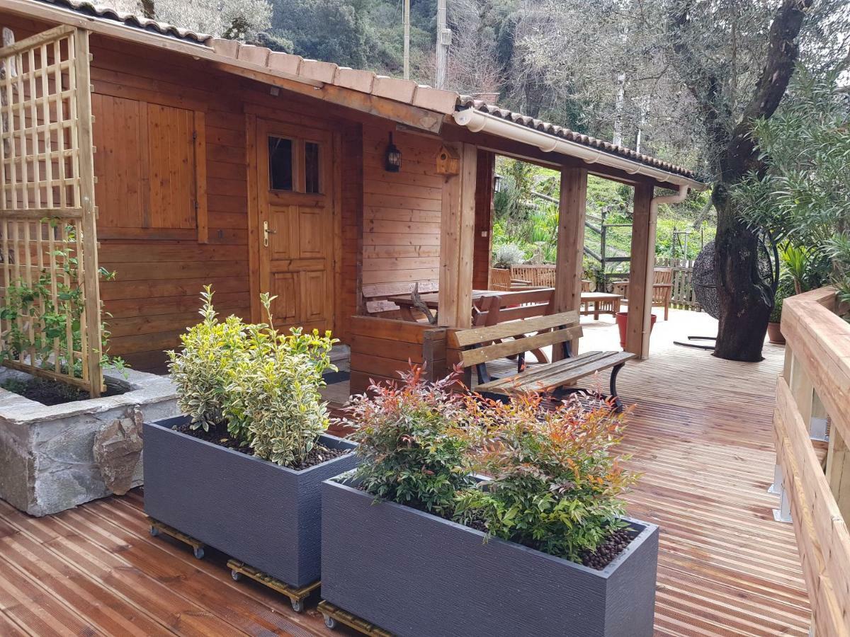Le Chalet de Valentine&Laurent Olmiccia Extérieur photo